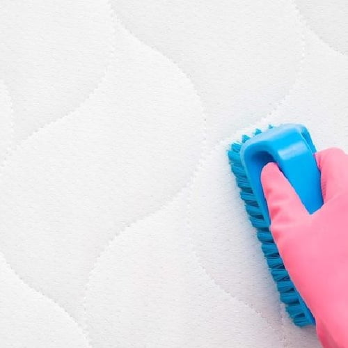 العناية والإصلاح