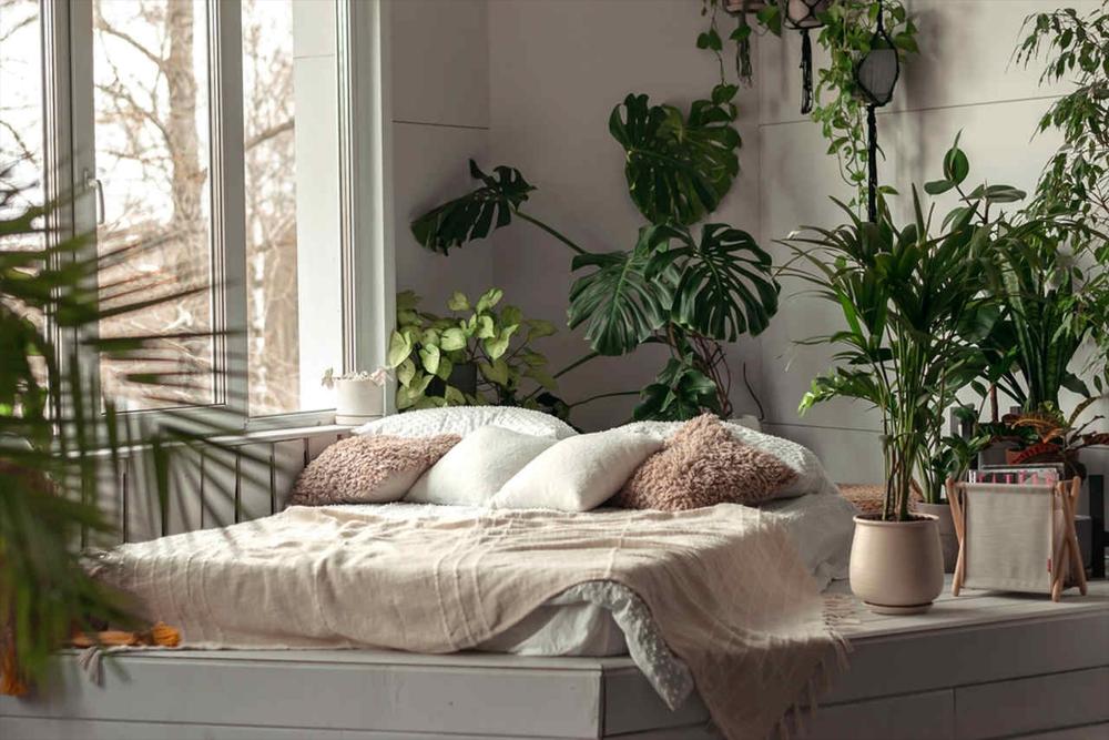 Eco-Friendly Mattress Options: Sustainable Sleep Solutions