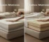 foam mattress vs latex mattress